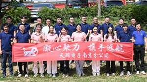 天瑞電子南京分公司組織春季團建活動